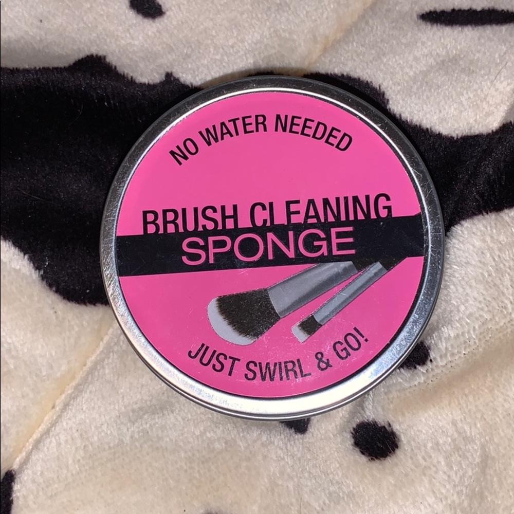 Brush cleaning sponge